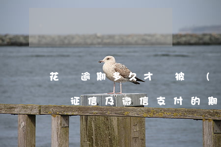 花唄逾期多久才會被關(guān)閉？影響征信及微信支付的期限是多少？